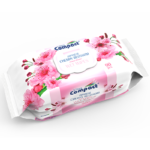 Japanese Cherry Blossom